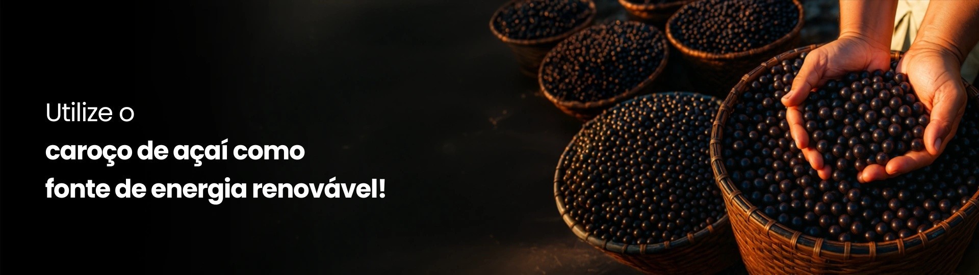 <strong>Efici&ecirc;ncia, Confiabilidade e Sustentabilidade</strong><br /><strong>com a robustez da engenharia W&oacute;rtice.</strong>