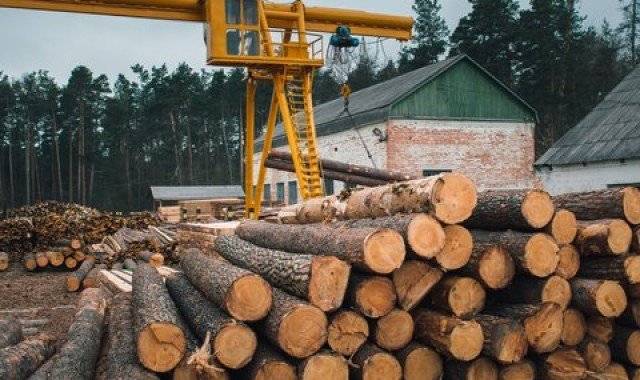 Biomassa no segmento de madeiras