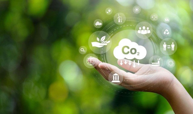 Crédito de carbono: o que é e como conseguir?