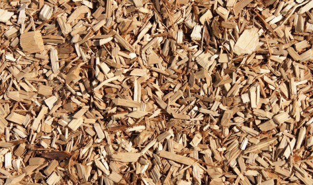Energia limpa e sustentável: a geração de energia com cavaco de madeira como solução para as empresas