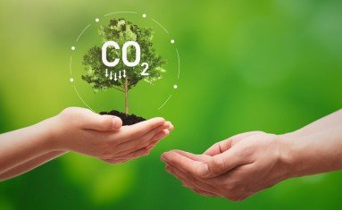 Créditos de carbono: uma oportunidade para empresas se destacarem na luta contra as mudanças climáticas