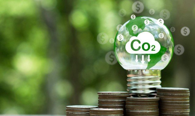Entenda como investir em créditos de carbono pode trazer retornos financeiros e ambientais