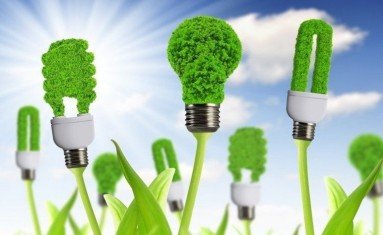 Geração de bioenergia: como as empresas podem utilizar o bagaço para produzir energia renovável
