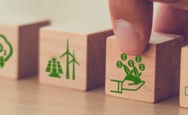 Créditos de carbono e compensação ambiental: entenda as diferenças e contribuições