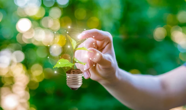Energia renovável como parte da responsabilidade social corporativa: quais as melhores práticas