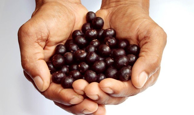 O papel das empresas na valorização do caroço de açaí como fonte de energia renovável
