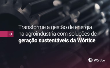 Gestão de energia na agroindústria: soluções sustentáveis de geração da Wórtice
