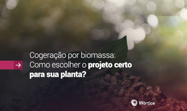 Cogeração por biomassa: como escolher o projeto ideal